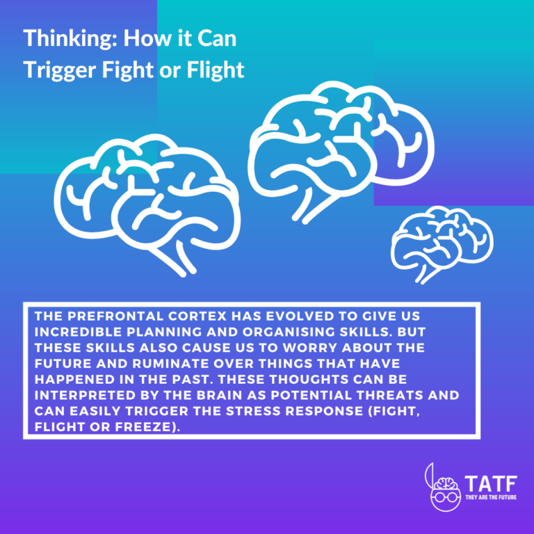 Fight or Flight Worksheet: Free PDF and Guide