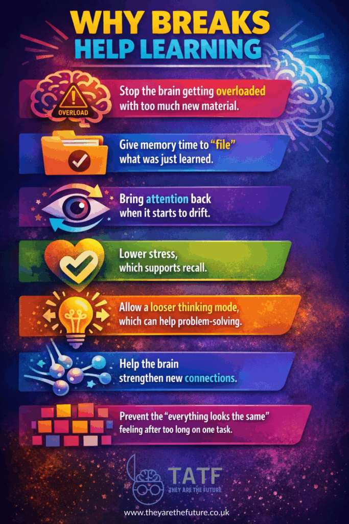 study tips for kids infographic about why breaks help learning