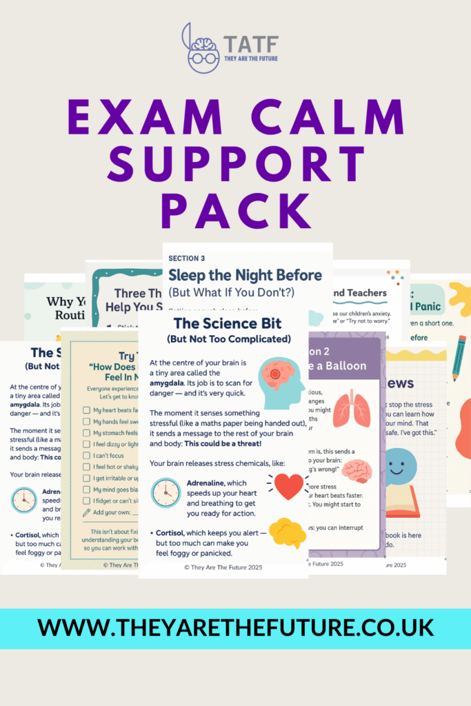 Image showing pages of Dr Lucy Russell's Exam Anxiety Pack